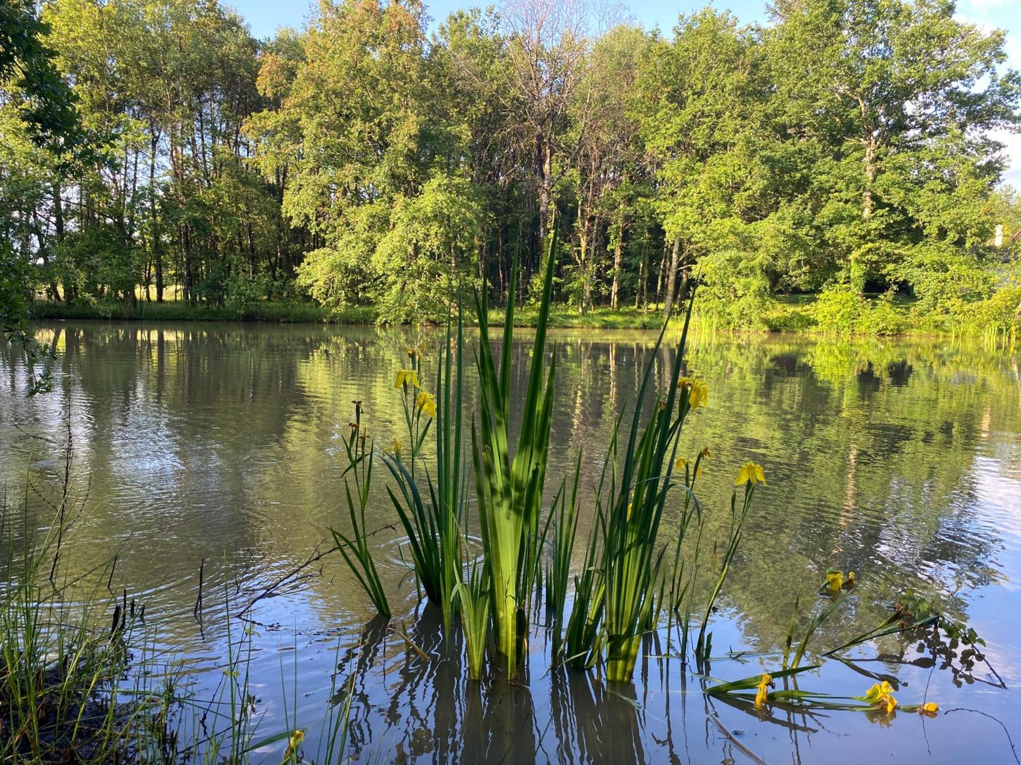 Bed and Breakfast Domaine De Lithos Fossemagne Екстер'єр фото